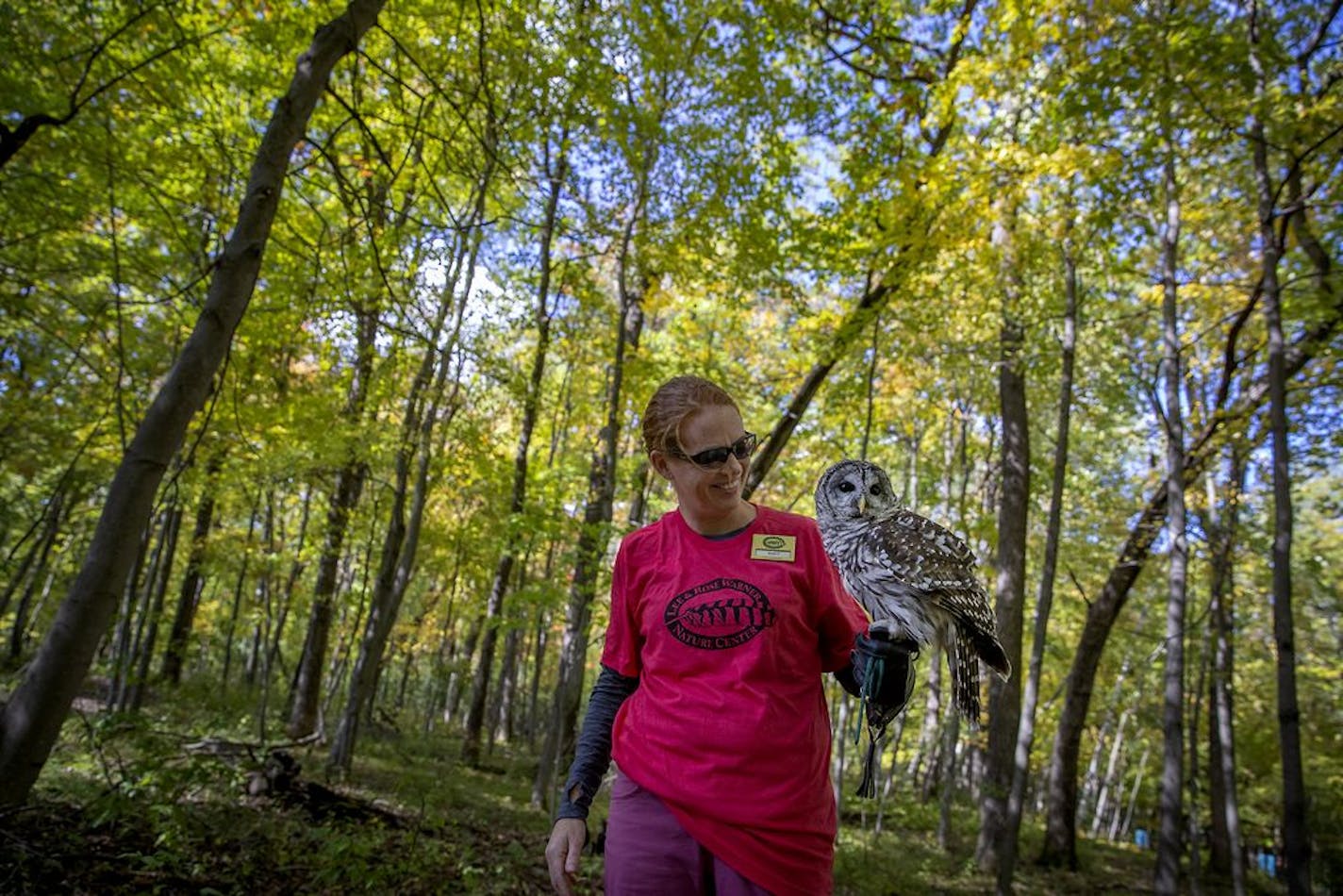 Anne Cammack held onto a barred owl as she welcomed visitors to the Warner Nature Center at the annual "Fall Color Blast" on Sunday, Oct. 6 in Marine on St. Croix.