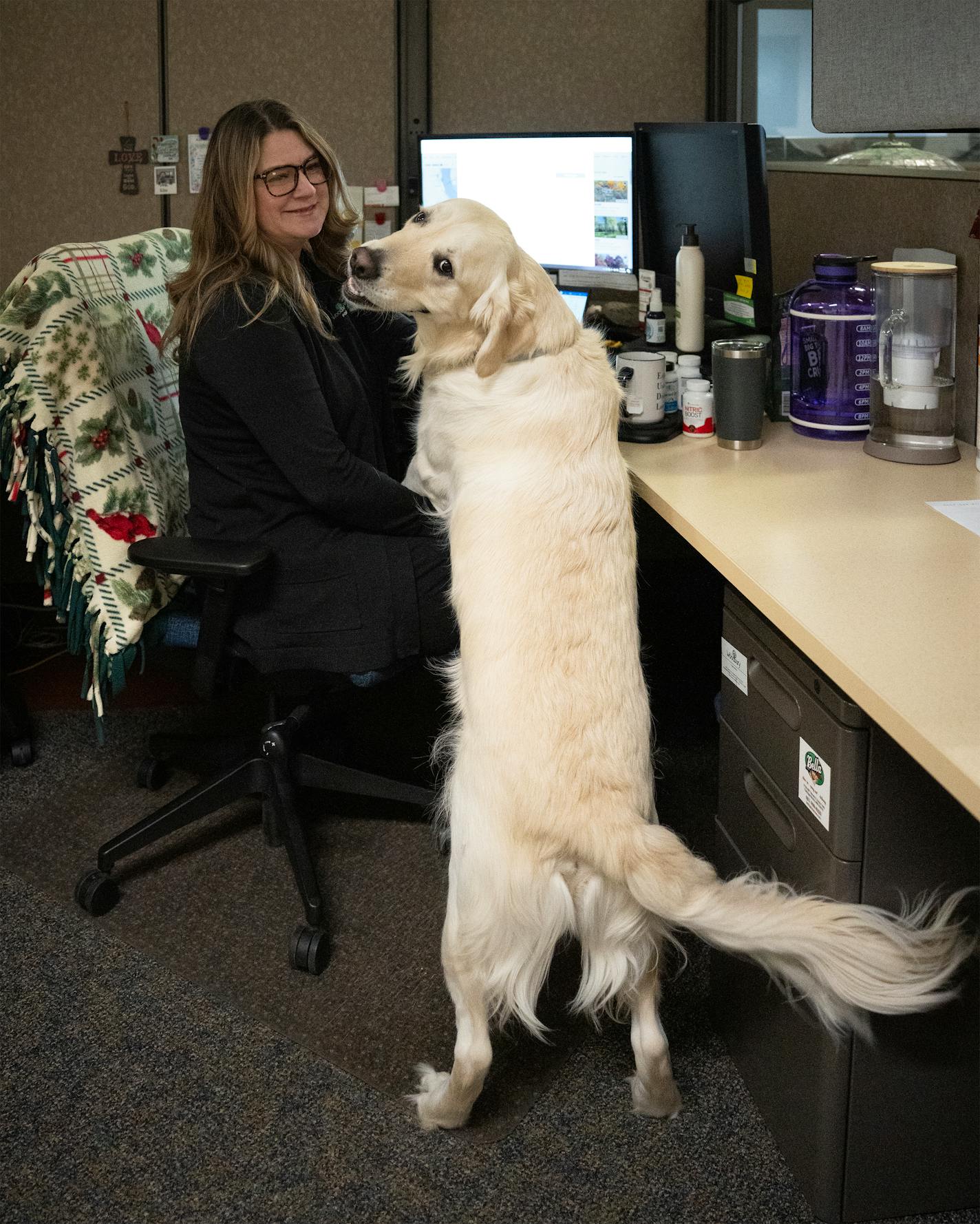 Kim Kemen, who has treats in her cube, is visited by Otis the therapy dog inside the Public Safety Building in Woodbury, Minn., on Tuesday, Nov. 14, 2023.