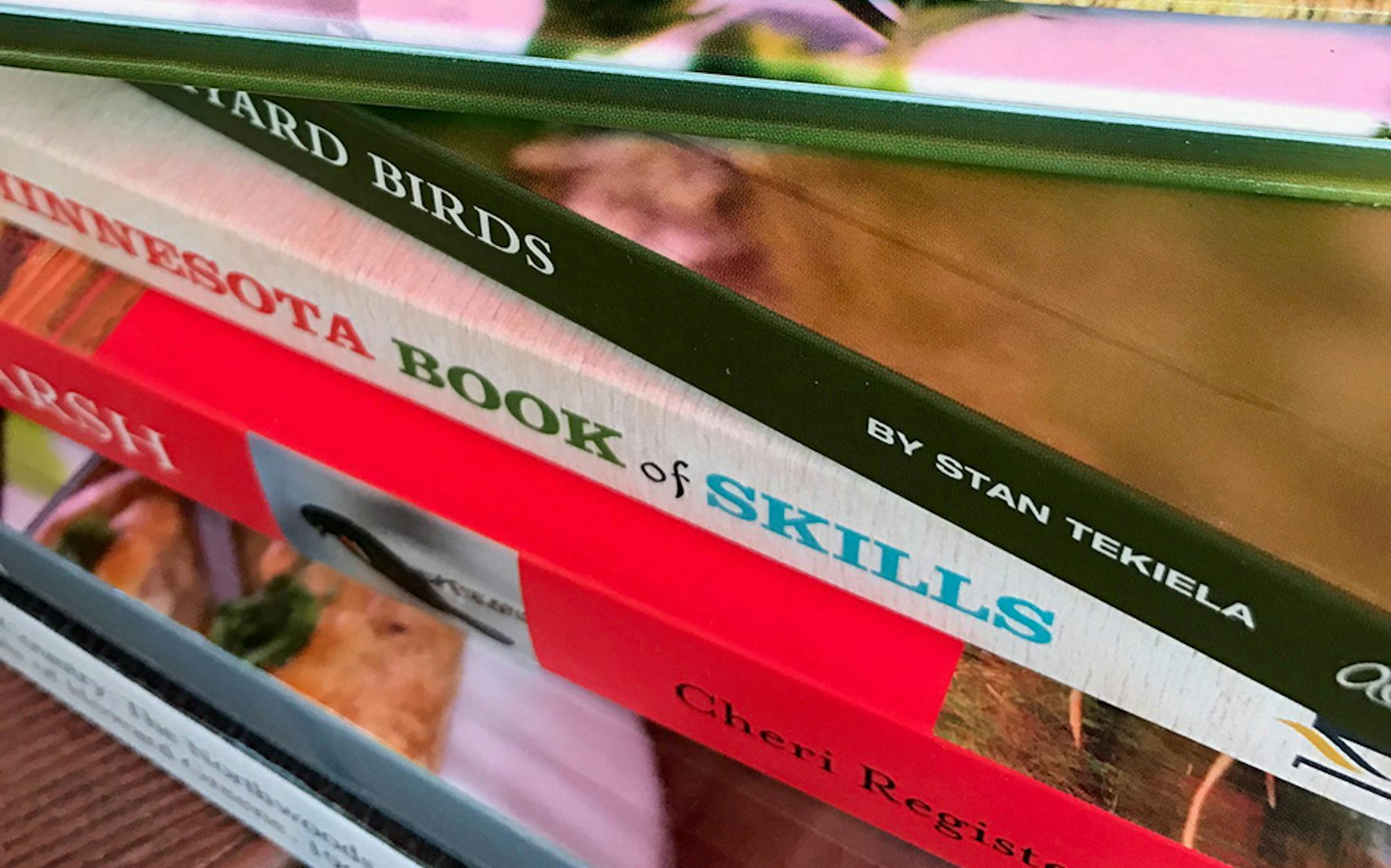 Book illustration for Outdoors Weekend