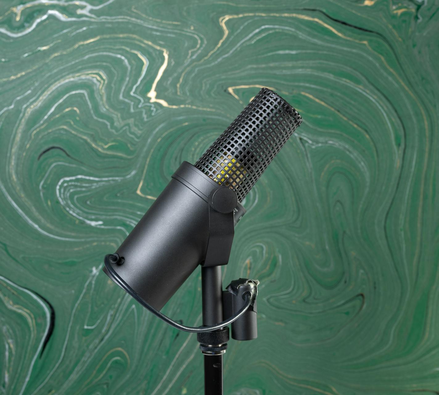 A microphone.