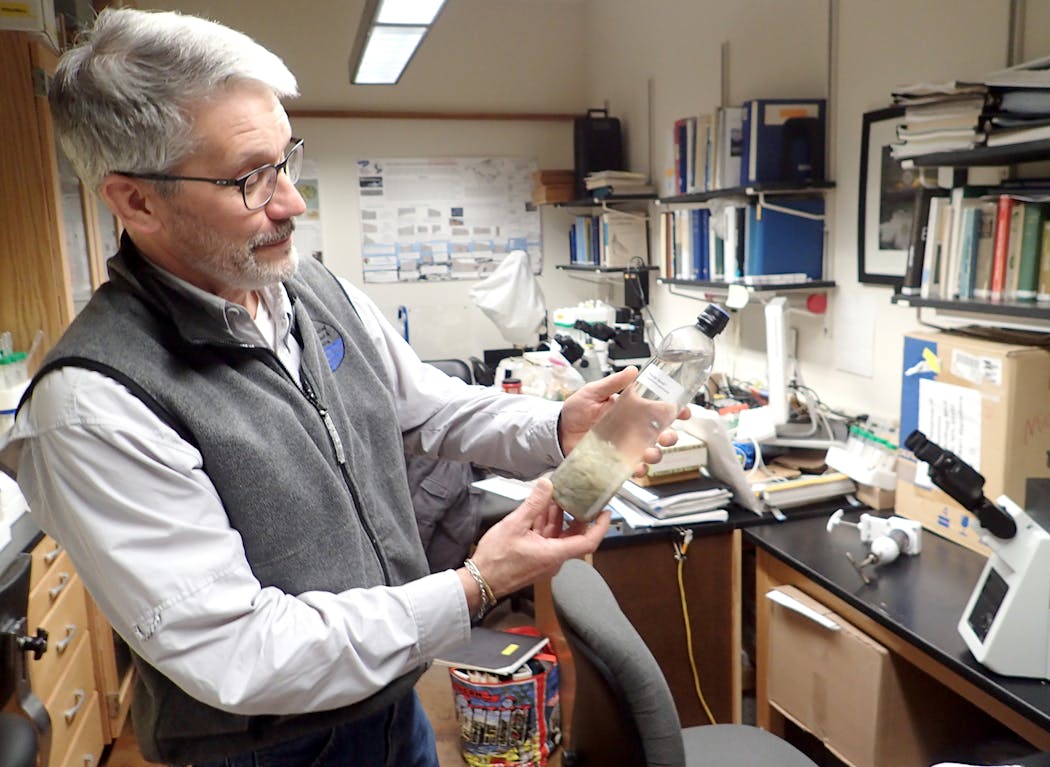 Mark Edlund, senior scientist at St. Croix Watershed Research Station, held a bottle of Didymo algae, or Rock Snot, inside a lab at his office near Marine on St. Croix.