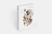 Graphic arrangements of found nature items such as feathers, fish, and fiddleheads photographed by Mary Jo Hoffman from her new coffee-table book "Sti