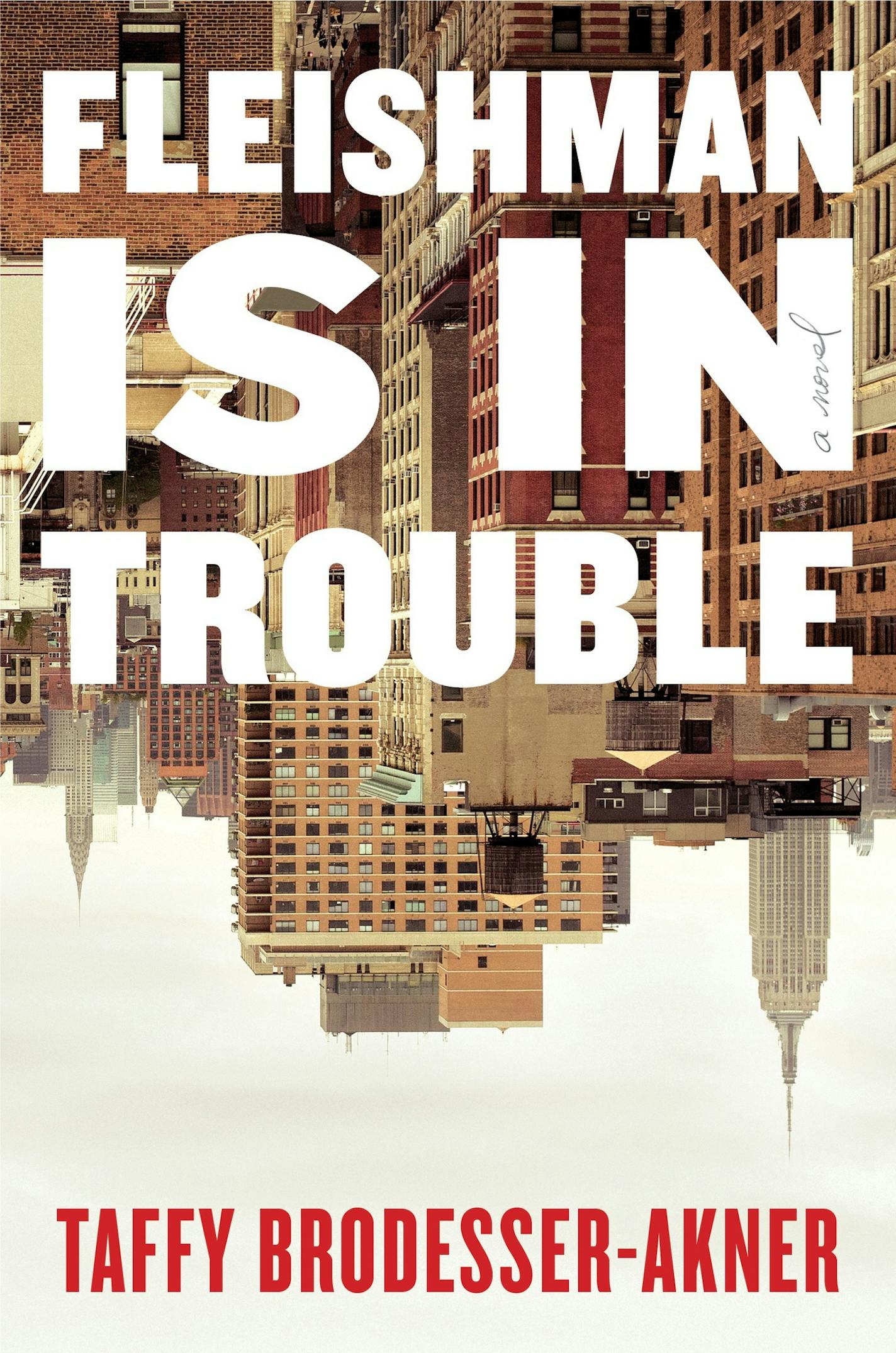 Fleishman is in Trouble, by Taffy Brodesser-Akner