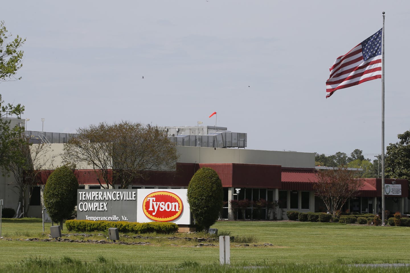 An American flag flies outside the Tyson Foods Inc., Temperanceville Complex, Wednesday April 29, 2020, in Temperanceville, Va. Big meatpacking companies that have struggled to keep plants open during the coronavirus crisis said Wednesday they welcome President Donald Trump&#x2019;s executive order that plants must remain open, even as unions, some employees and Democrats raised questions about whether workers could be kept safe while doing so. (AP Photo/Steve Helber)