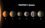 This illustration provided by NASA/JPL-Caltech shows an artist's conception of what the TRAPPIST-1 planetary system may look like, based on available 