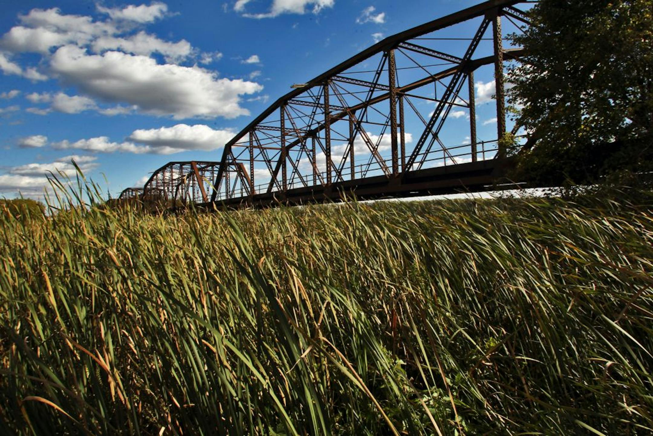 The Old Cedar Avenue bridge in Bloomington juts out into the Minnesota Valley National Wildlife Refuge. The steel structure was closed to vehicle traffic in 1993 and to pedestrians and bicycles in 2002. The city has been an unwilling owner since 1981.