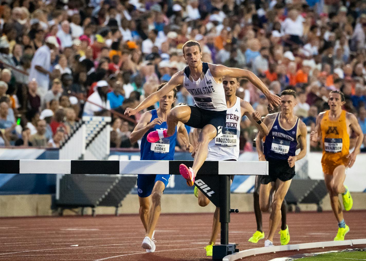 Montana State's Duncan Hamilton leads the pack over a barrier while running in the steeplechase during the NCAA outdoor track and field championships Friday, June 9, 2023, in Austin, Texas. (Sara Diggins/Austin American-Statesman via AP)