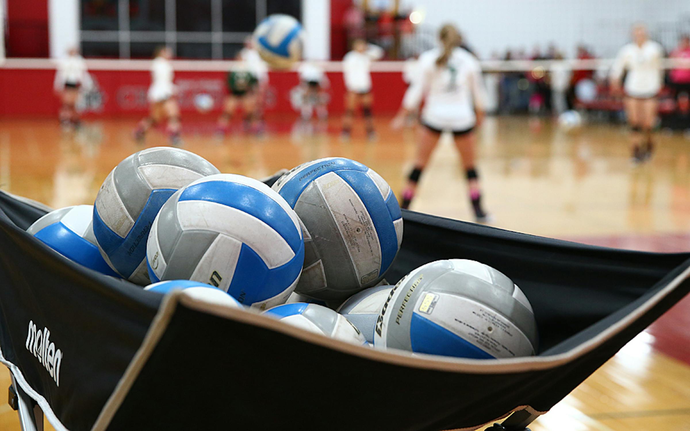 Major League Volleyball is coming to Minnesota next year