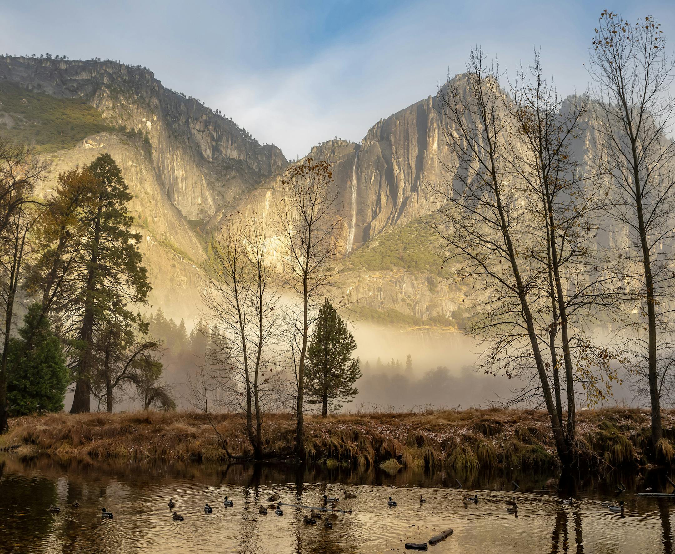 was in Yosemite Valley, hiking along the Merced River, with Yosemite Falls in the background. What equipment did you use—a phone or a particular camera?
I used a Nikon D750 camera with a Tamron lens.
How did you get this shot? Did you employ any particular technique: did you get low or high to change the angle, or wait just for the right moment?
I wanted to be very quiet while taking this shot so that I didn’t alarm the Mallards in the river.
What struck you about this photo—