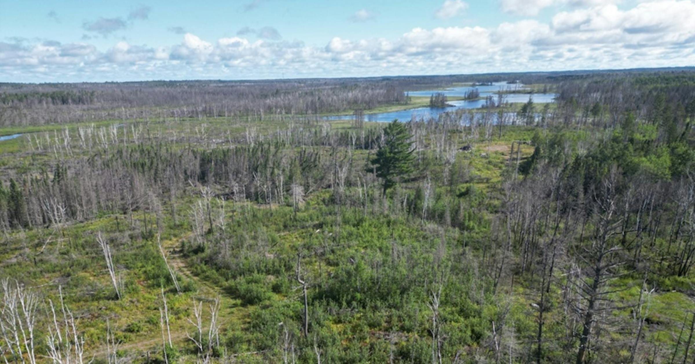 The Nature Conservancy buys more than 12,000 acres in northeastern Minnesota for conservation