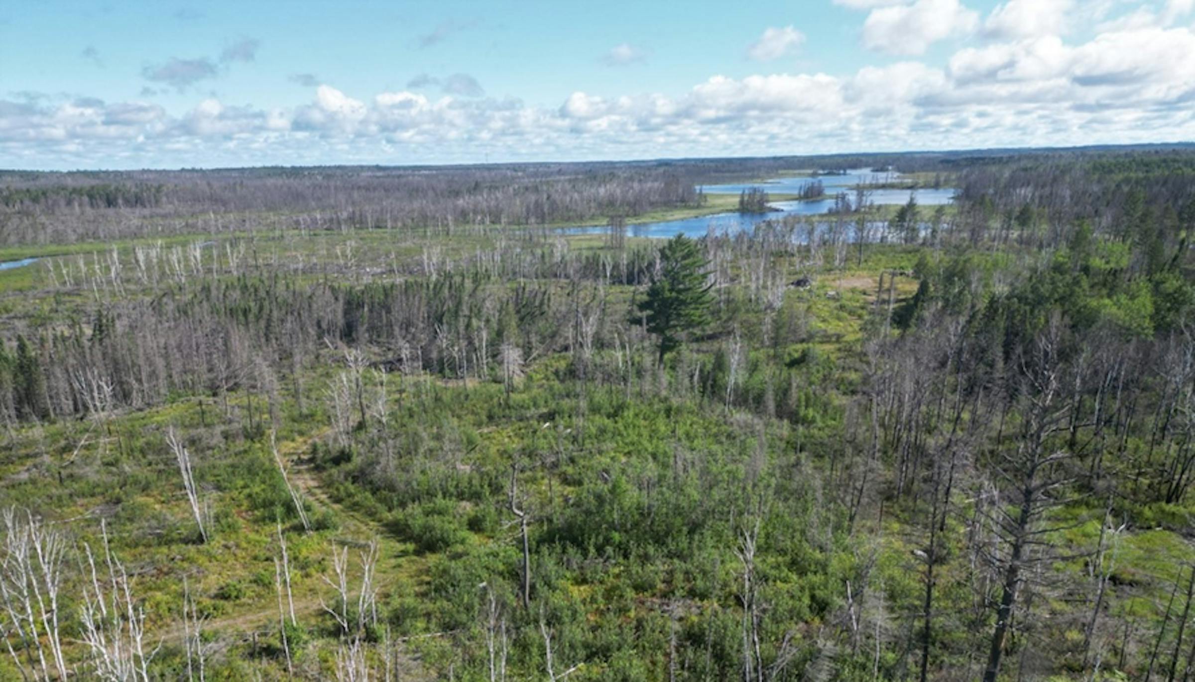 The Nature Conservancy buys more than 12,000 acres in northeastern Minnesota for conservation