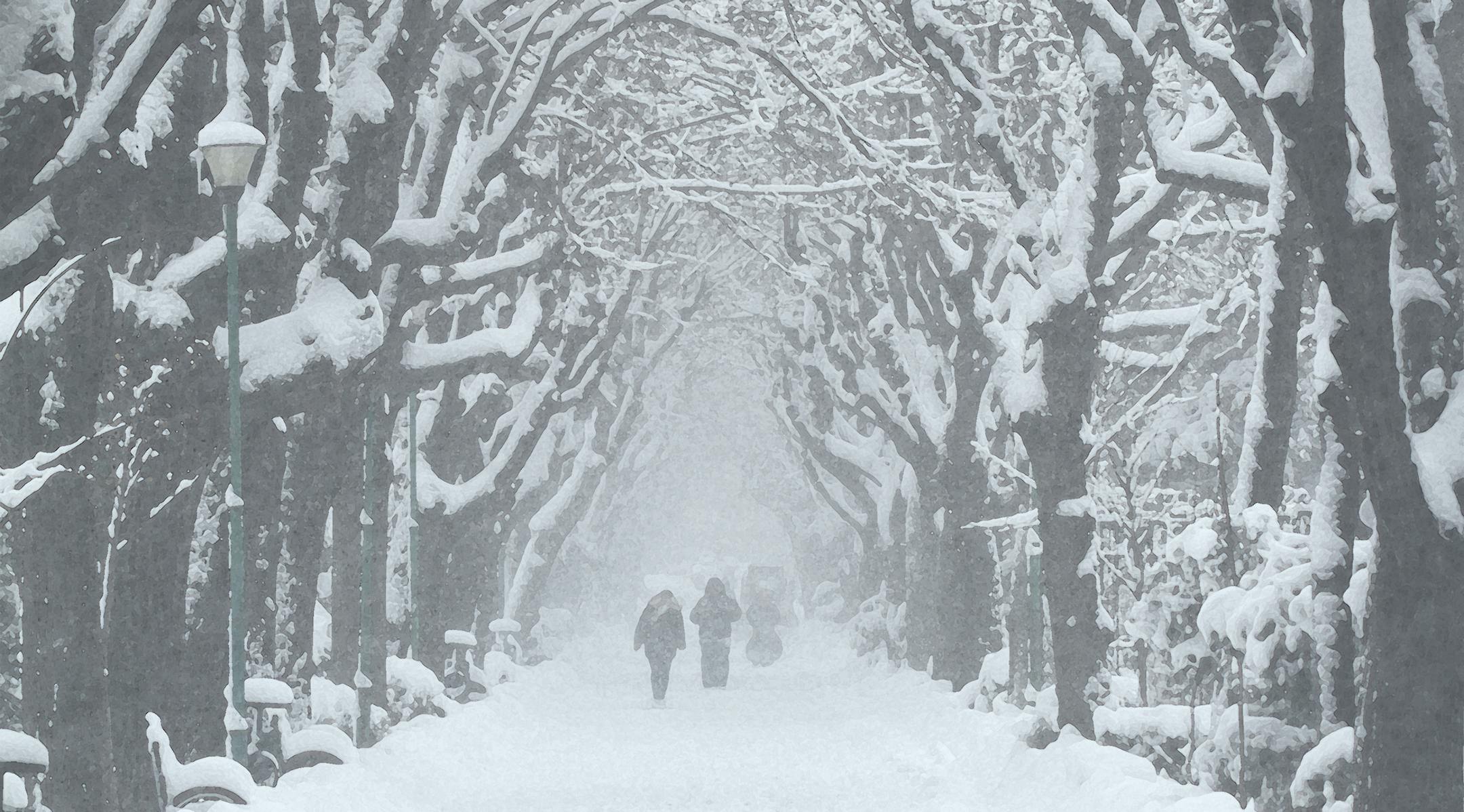 vertical front view of people walking in a city park alley with trees and snow in winter time ORG XMIT: MIN1711151408482357