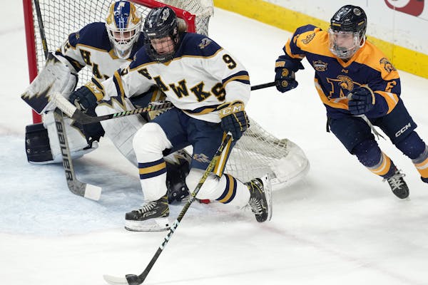 Hermantown defenseman William Esterbrooks (9) takes the puck down the ice in the first period of a MSHSL Class 1A state semifinal hockey game between 