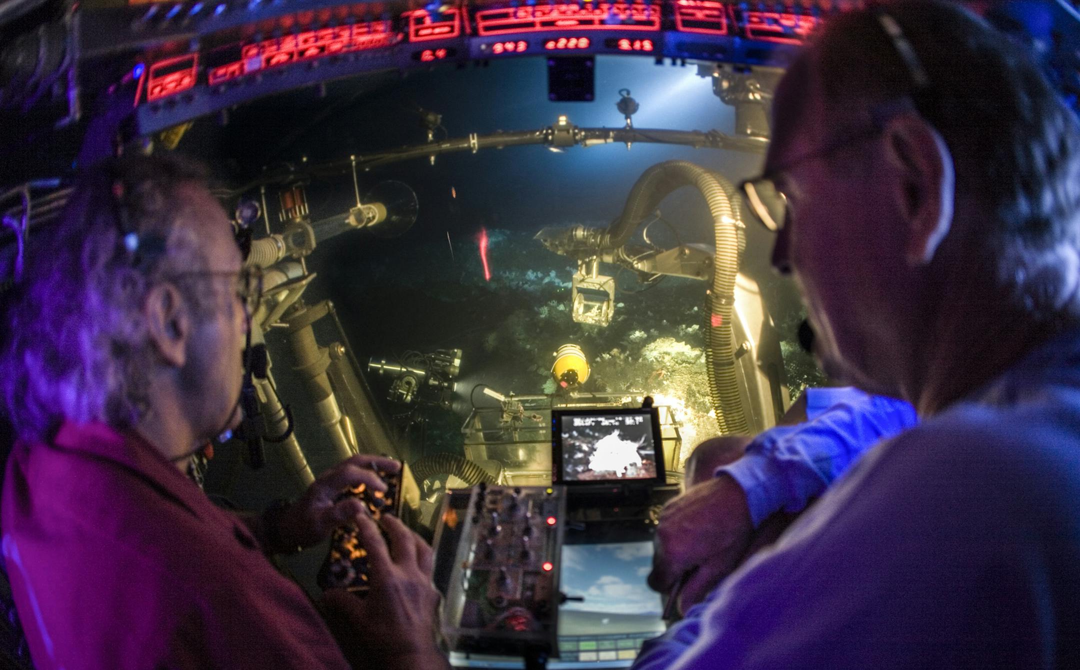 An inside look from the Johnson Sea Link submersible. (Florida Atlantic University's Harbor Branch Oceanographic Institute/TNS) ORG XMIT: 1234224