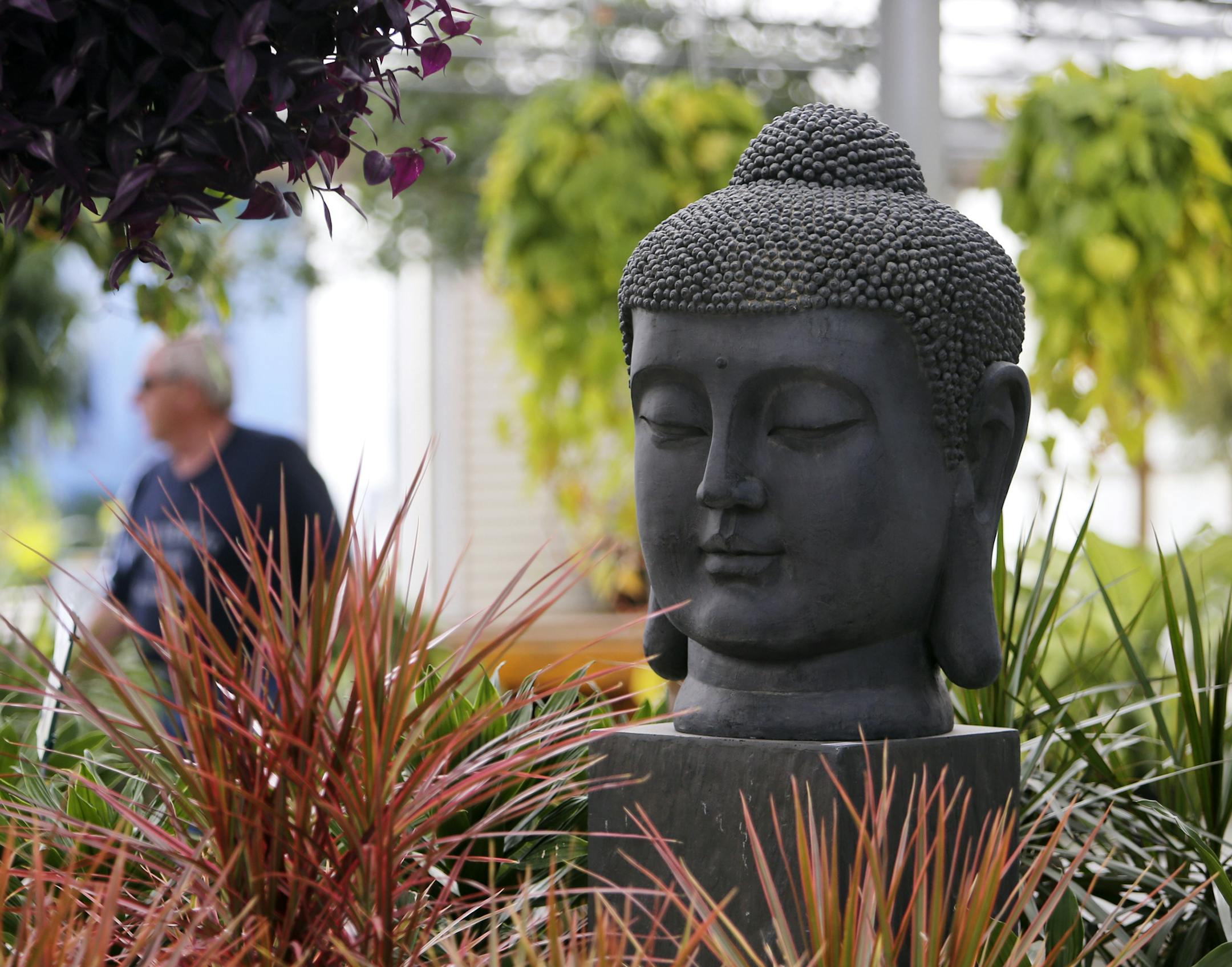 A Buddha sculpture greeted shoppers in one end of Lindner's Greenhouse Inc. during a 50 percent going out of business sale.](DAVID JOLES/STARTRIBUNE) djoles@startribune.com Linder's Nurseries, which began business in 1910 as a truck farm and grew into one of the most successful nursery businesses in the Twin Cities, announced they are going out of business.