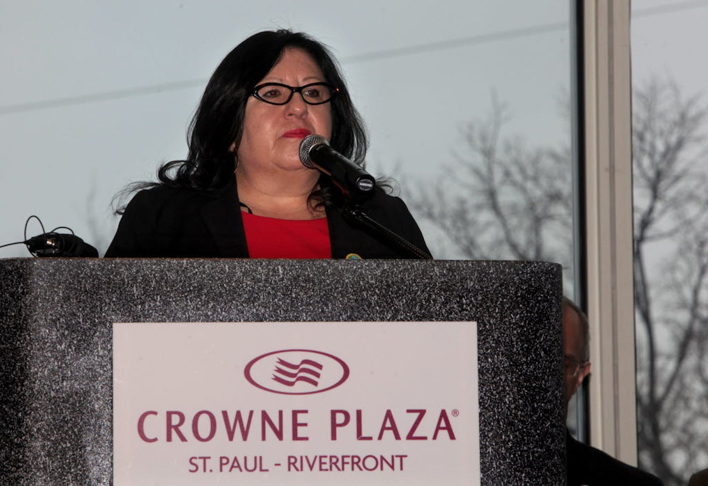 Melanie Benjamin at a press conference in St. Paul on March 11, 2013.