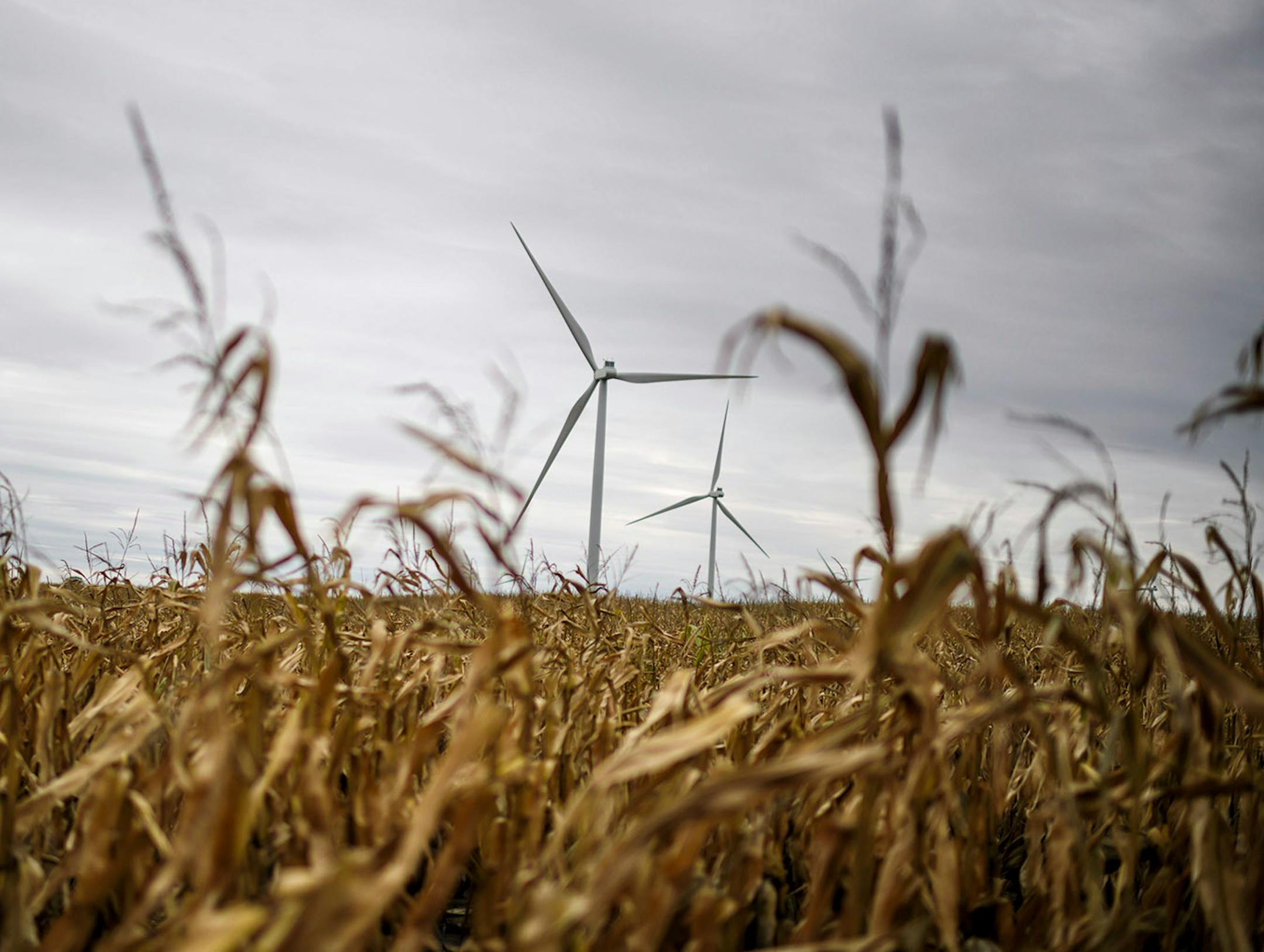 A wind turbine at Black Oak Wind.