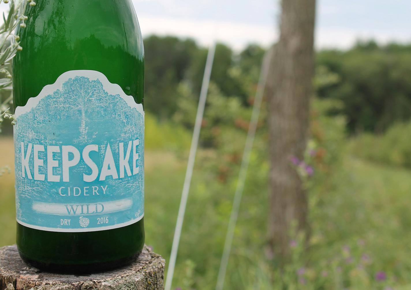 Wild, Keepsake Cidery (provided)