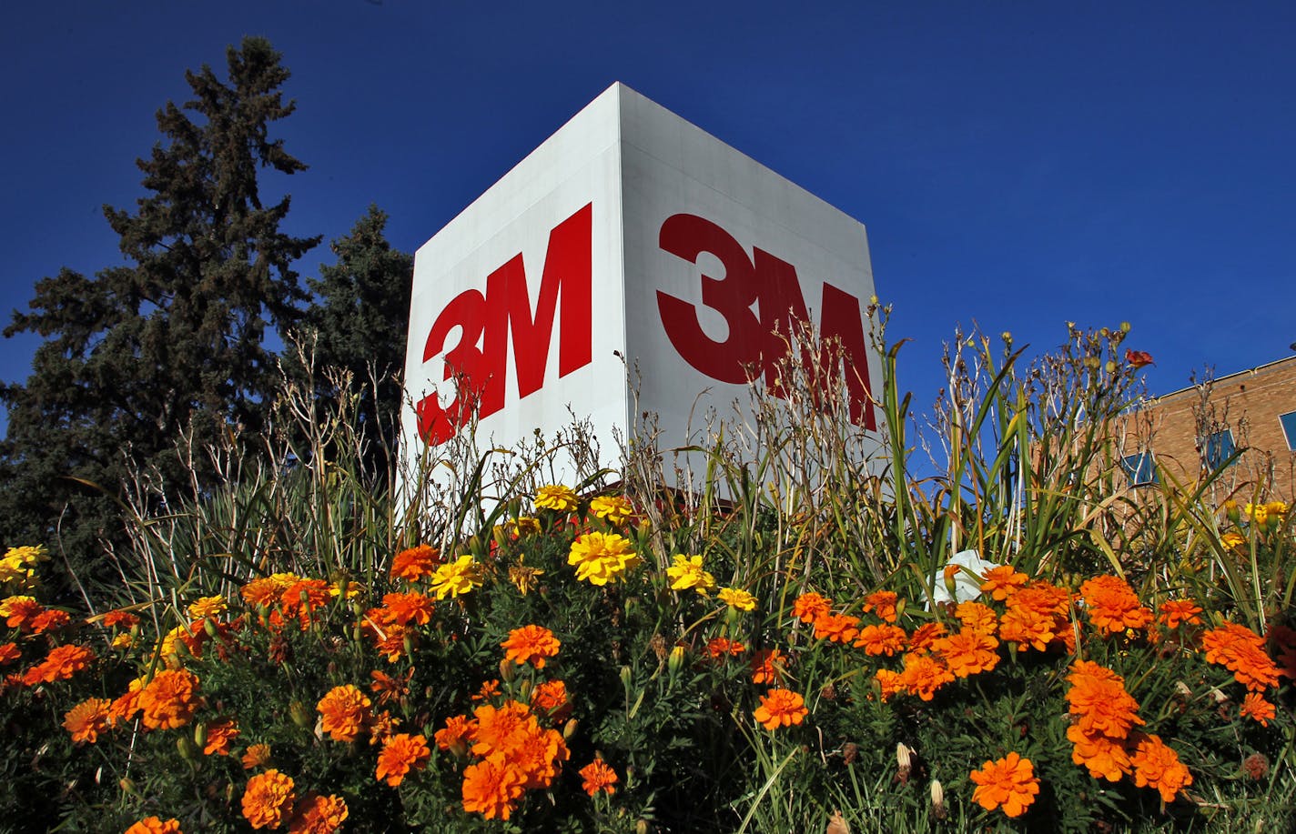 3M's headquarters are in Maplewood.