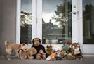 A dog sniffed at stuffed animals placed Tuesday at the front door of River Bluff Dental in Bloomington, owned by Dr. Walter Palmer, who has come under