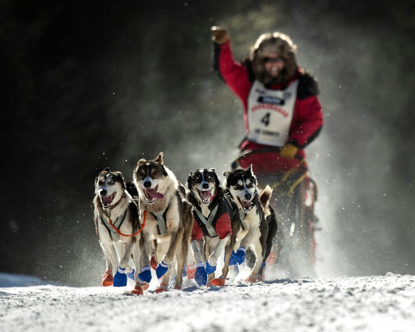 The John Beargrease Sled Dog Marathon underway in Two Harbors.