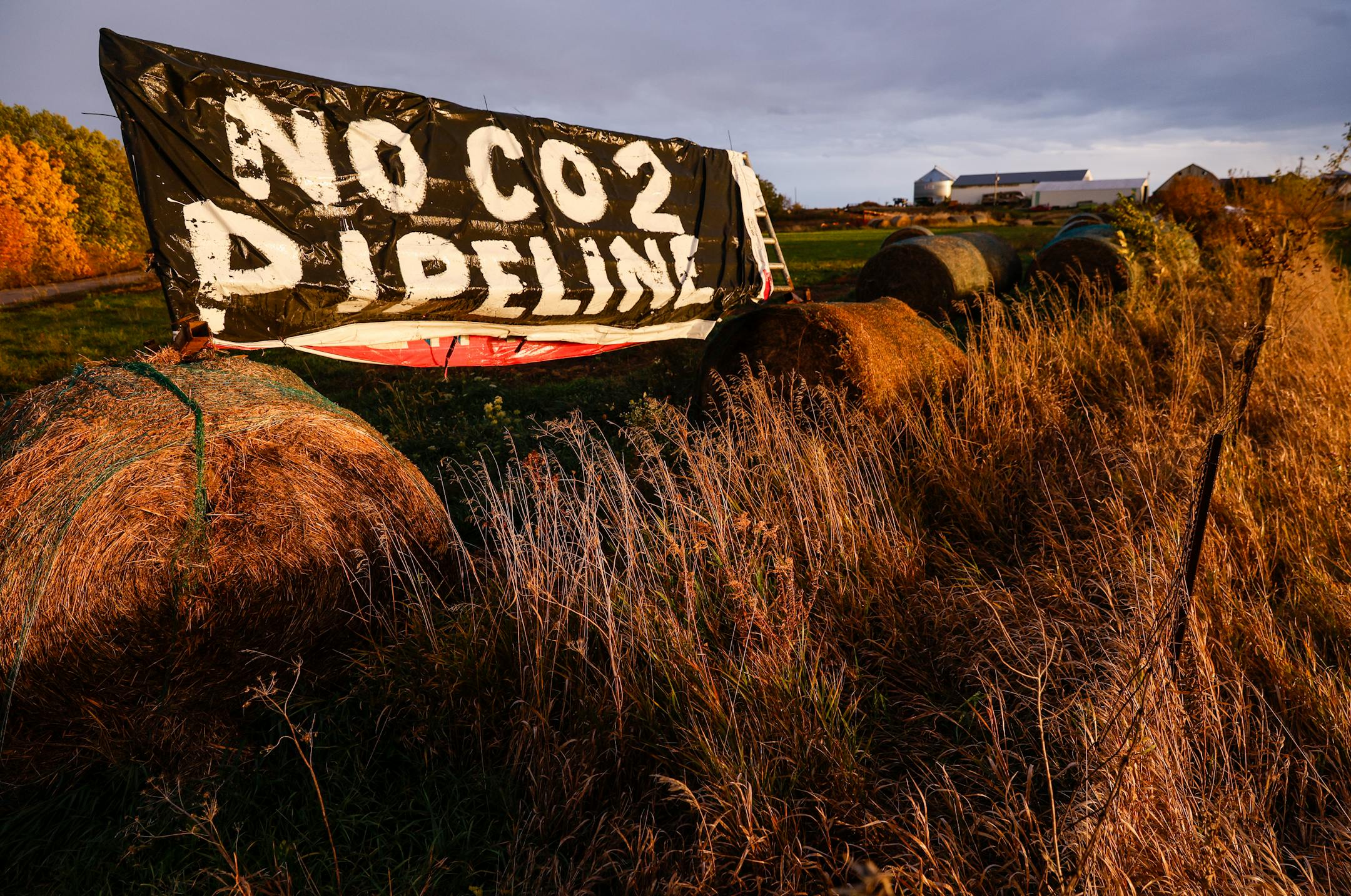 Signs opposing the proposed route of the Wolf Carbon Solutions captured carbon dioxide pipeline are seen along Ivanhoe Rd. near Ely, Iowa, on Wednesday, October 12, 2022. Signs opposing eminent domain, a method used to acquire land for projects like this, are also along Ivanhoe Rd. (Jim Slosiarek/The Gazette)