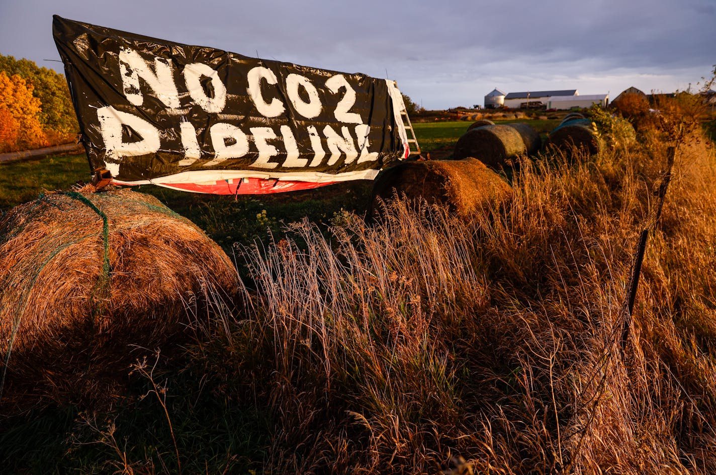 Signs opposing the proposed route of the Wolf Carbon Solutions captured carbon dioxide pipeline are seen along Ivanhoe Rd. near Ely, Iowa, on Wednesday, October 12, 2022. Signs opposing eminent domain, a method used to acquire land for projects like this, are also along Ivanhoe Rd. (Jim Slosiarek/The Gazette)