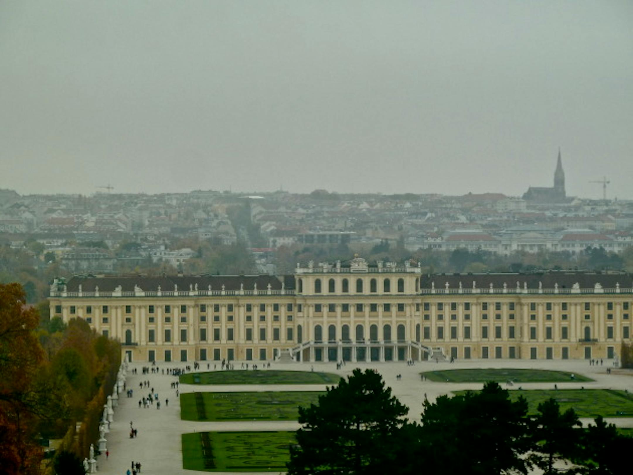 the view from the top of the hill was magnificent! say hello to Vienna!