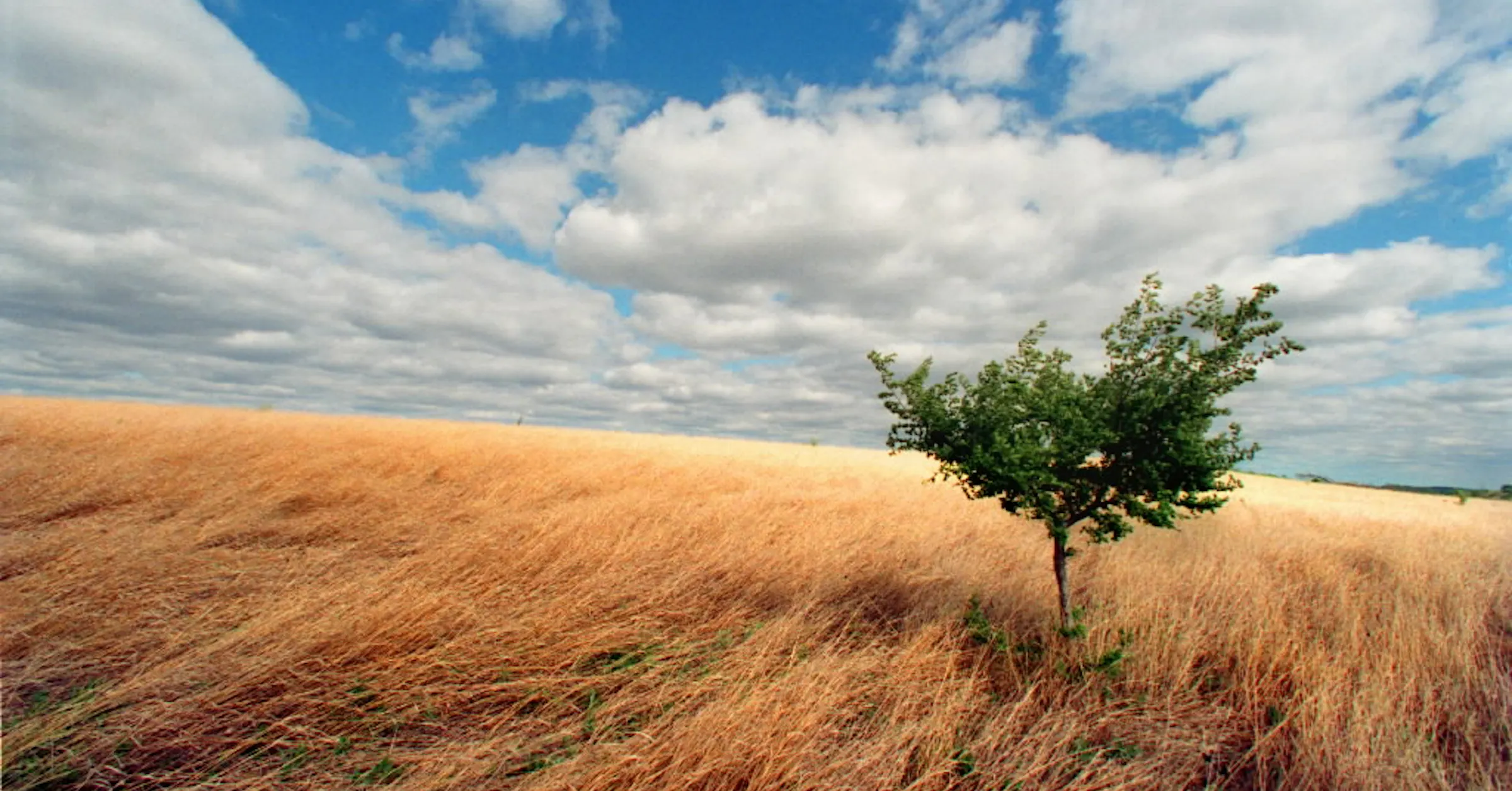 Vision Praire Health care: A prairie vision
