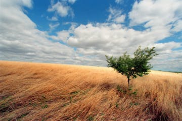 Health care: A prairie vision