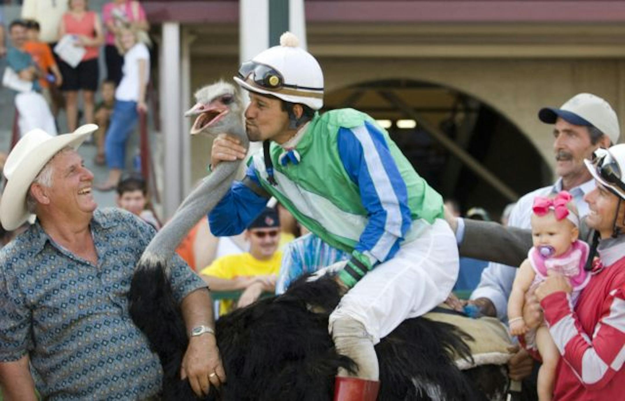 Taking a ride wherever he could, jockey Tracy Hebert drove an ostrich to victory in an August 2008 race in Kentucky.