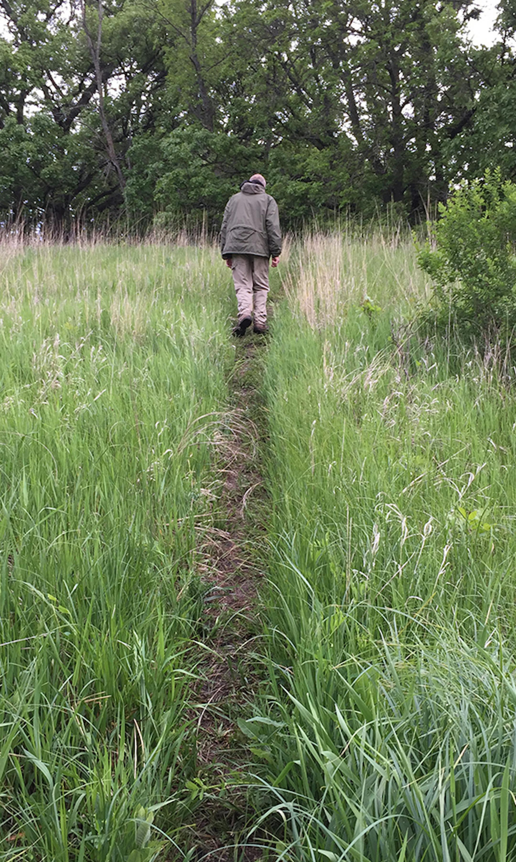 Kilen Woods State Park