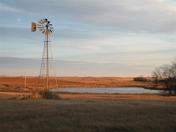Central North Dakota is dotted with acres and acres of wetlands.