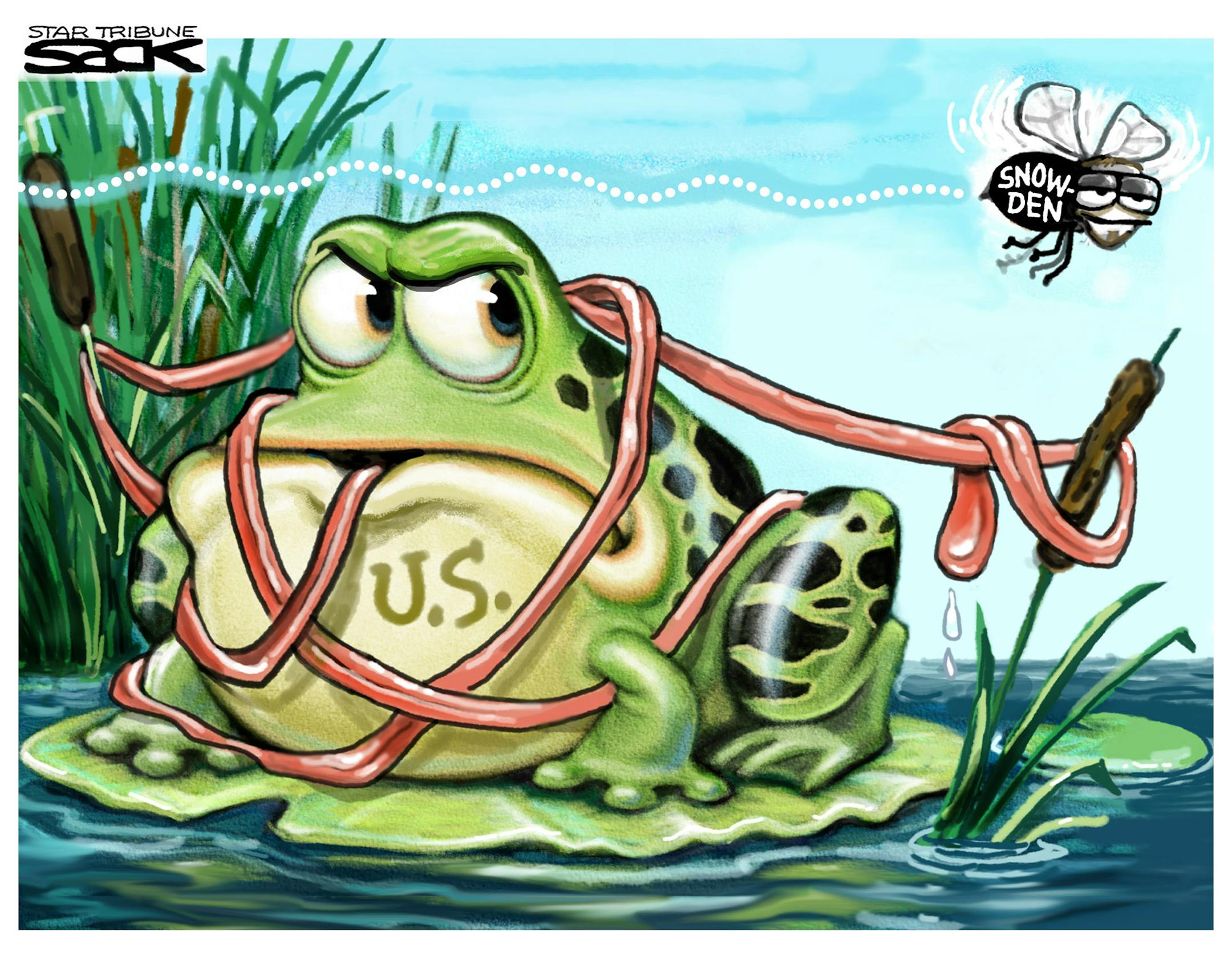 Steve Sack editorial cartoon for June 28, 2013.