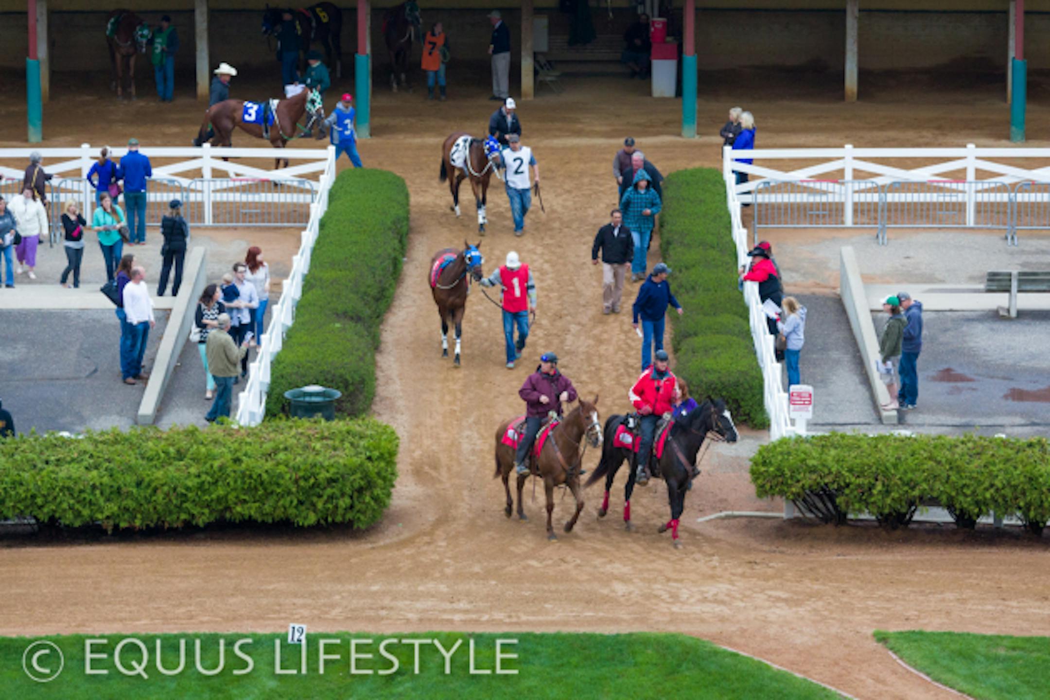 Pre-race pageantry, Canterbury Park.