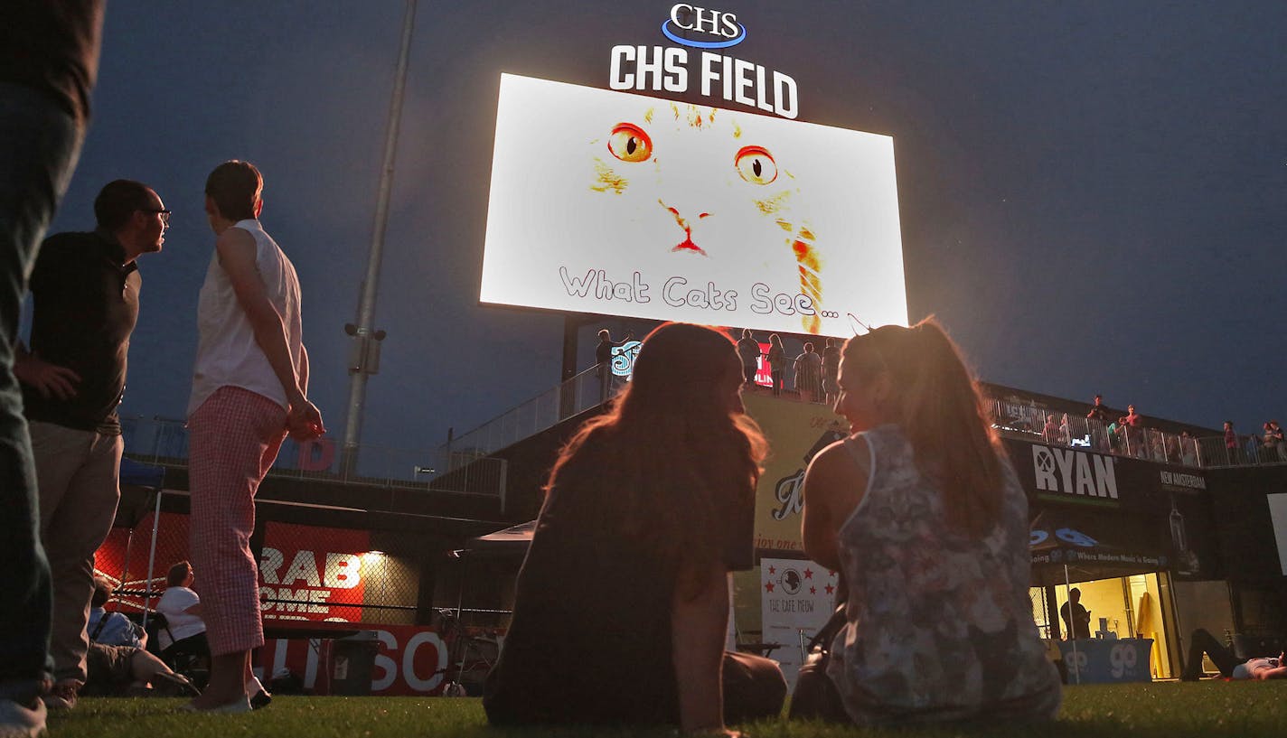 Wade Timmack, left and Erica Steinkraus laughed as they watched cats tumble during the Cat Video Festival hosted by the Walker Arts Center. ] (KYNDELL HARKNESS/STAR TRIBUNE) kyndell.harkness@startribune.com Cat video festival at CHS Field in St Pauls, Min., Wednesday August 12, 2015. ORG XMIT: MIN1508122201100167