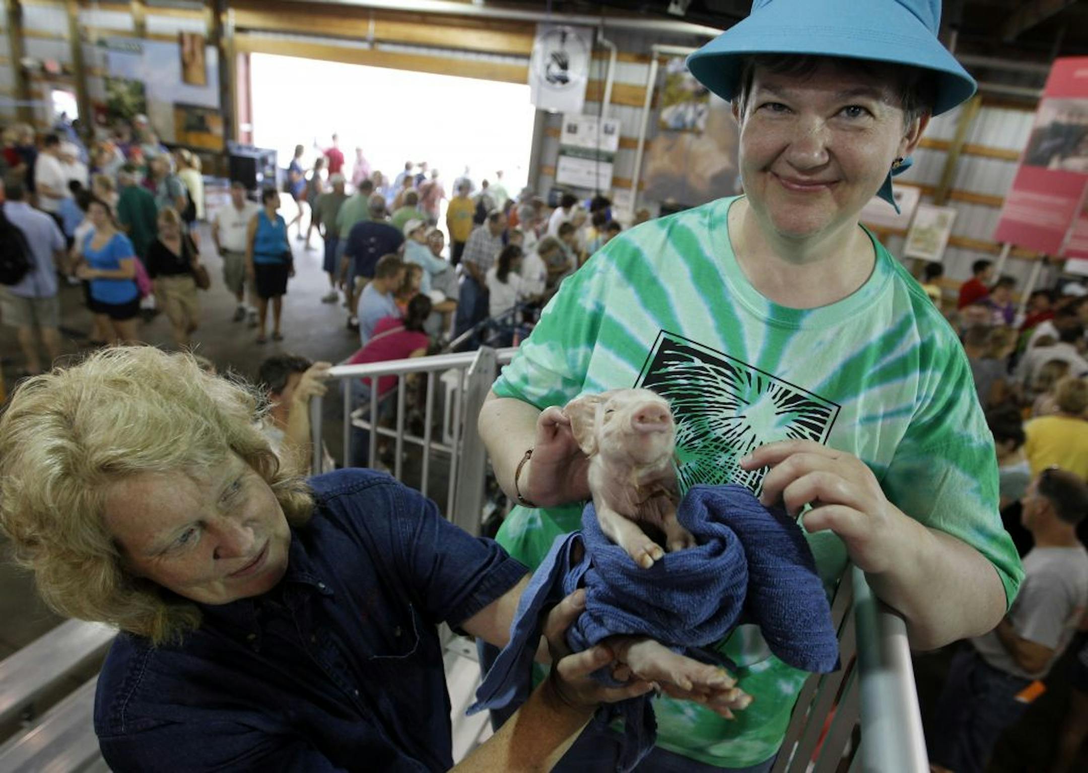 Marlene Rollefstad of Crystal has made every Minnesota State Fair for 50 straight years. This year she gets a wish to pet a pig, thanks to Vet Dr. Mary Olson, Co-chair of the Miracle of Birth Center.