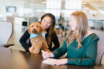 At Ovative Group, Ogee the office dog is available to spend weekends with employees, upon request.