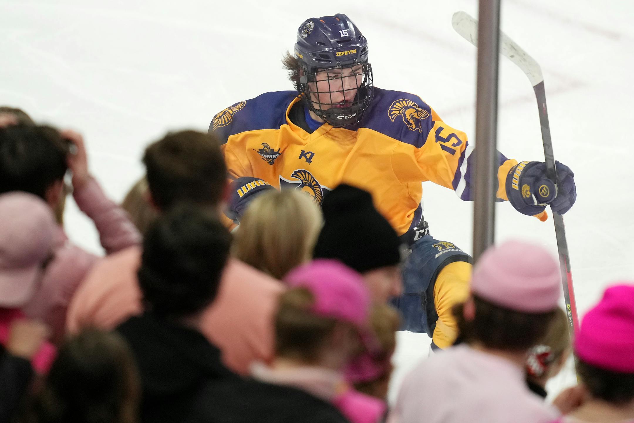 Mahtomedi forward Seth Nelson (15) celebrates after scoring on Alexandria goaltender Elijah Rasmusen (1) in the first period of a MSHSL Class 1A quarterfinal hockey game between Alexandria and Mahtomedi.
