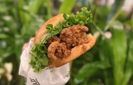 A crispy fried chicken sandwich with a wide leaf of romain lettuce on a brioche bun is wrapped in held in front of a background of green plants.