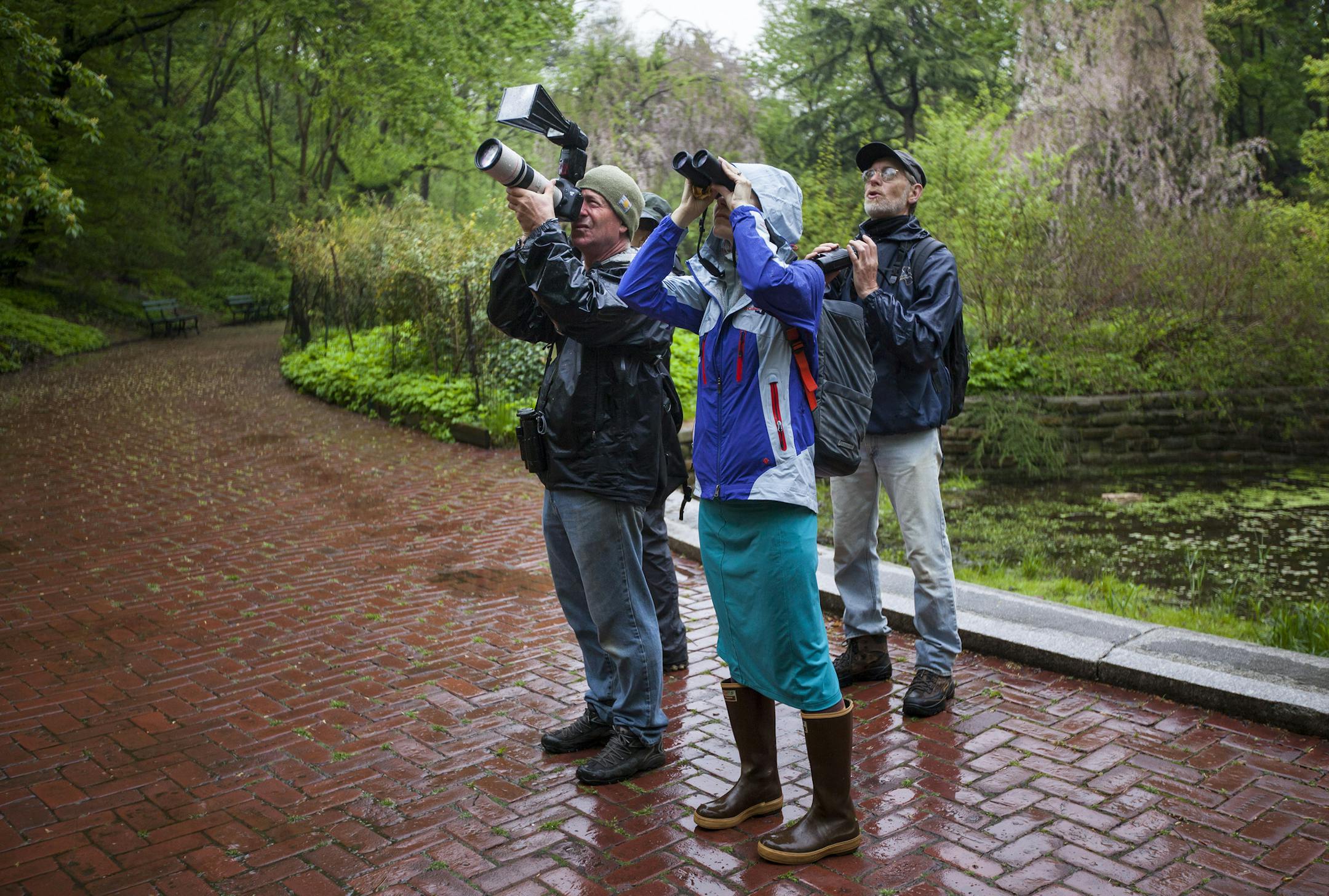 Casual birdwatching with a camera and binoculars in Prospect Park, New York, May 8, 2014. There is a push to require photographic evidence at birding competitions, but it is meeting much disagreement with opponents saying that it will ruin the nature of birding. (Michael Nagle/The New York Times)