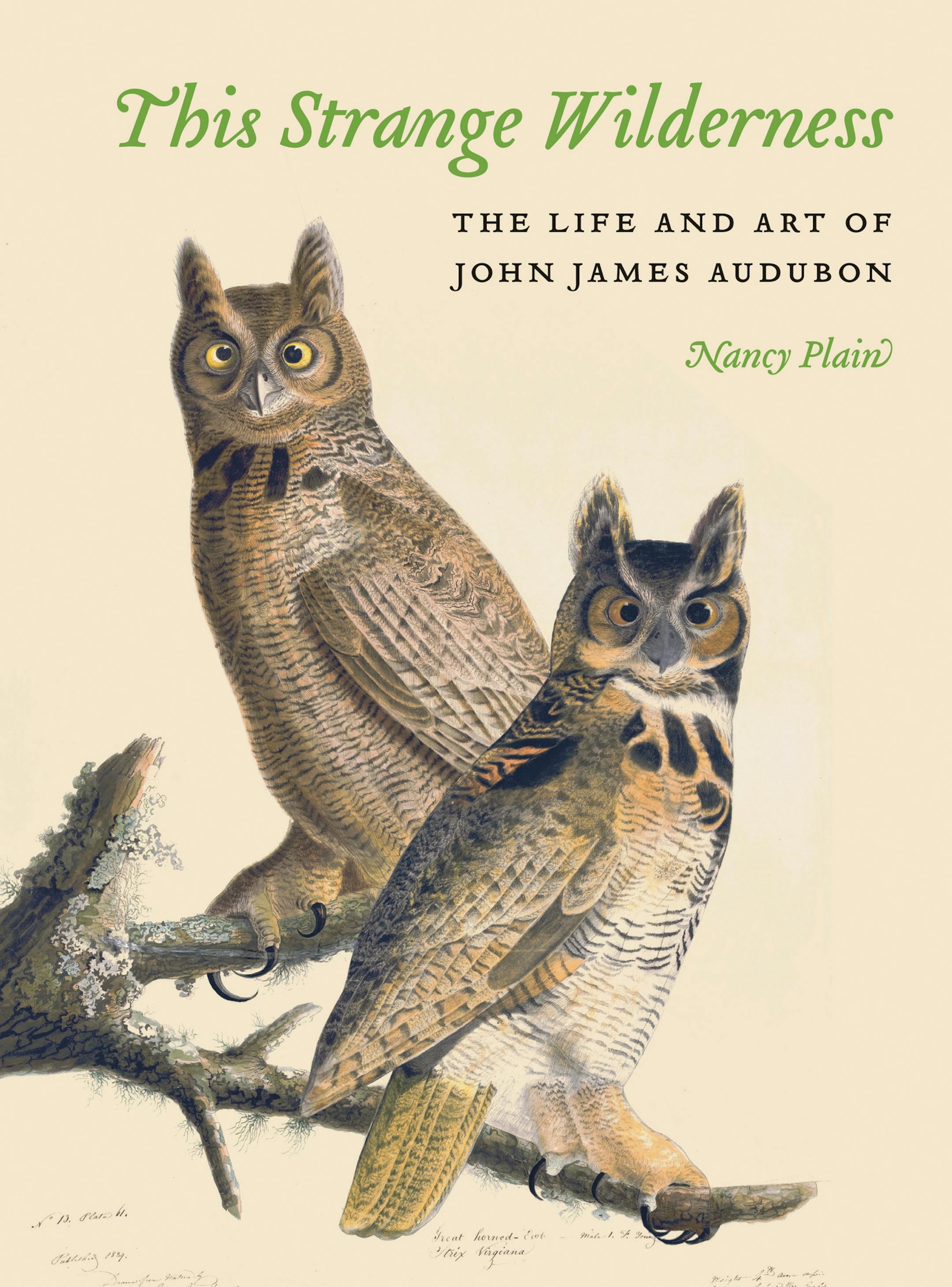 "This Strange Wilderness"