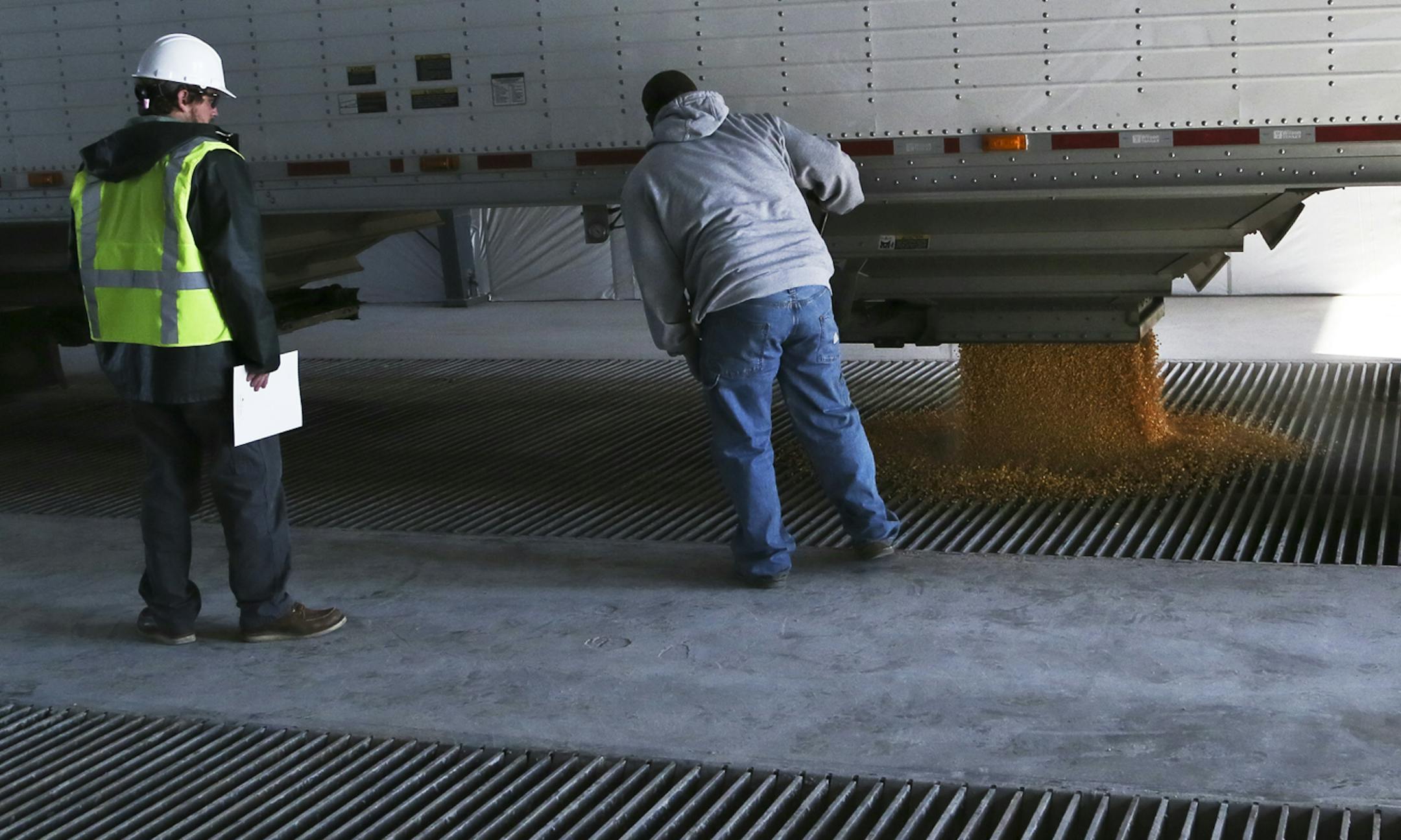 Grain hauler Josh Peine of Peine Trucking in Hampton dumps his corn load Friday, Nov. 1, 2013, at Interstate Mills in Randolph, MN.](DAVID JOLES/STARTRIBUNE) djoles@startribune.com With late and wet corn harvest, propane shortage hits farm country. Southwest and western Minnesota feel it the worst. Some grain elevavators have shut down corn drying due to propane shortage. The problem: a concentrated corn harvest this year due to a late planting and late frost, combined with propane distribution