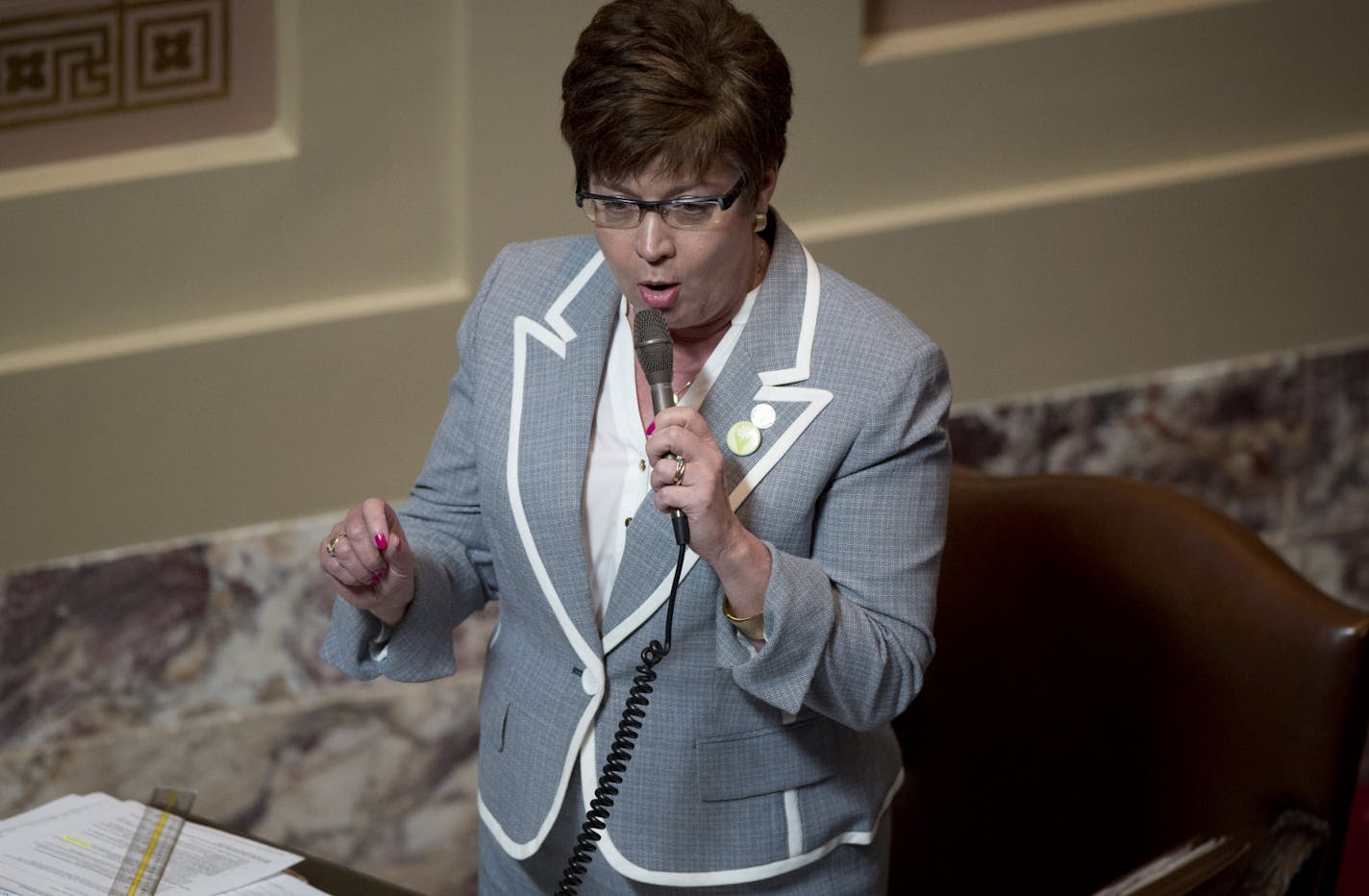 Sen. Carla Nelson, R-Rochester, spoke to the omnibius tax bill on the Senate floor Monday, April 29, 2013. Nelson had expressed some support for the bill because it contained funding for the Mayo clinic expansion but opposed some of the other tax increases in it.