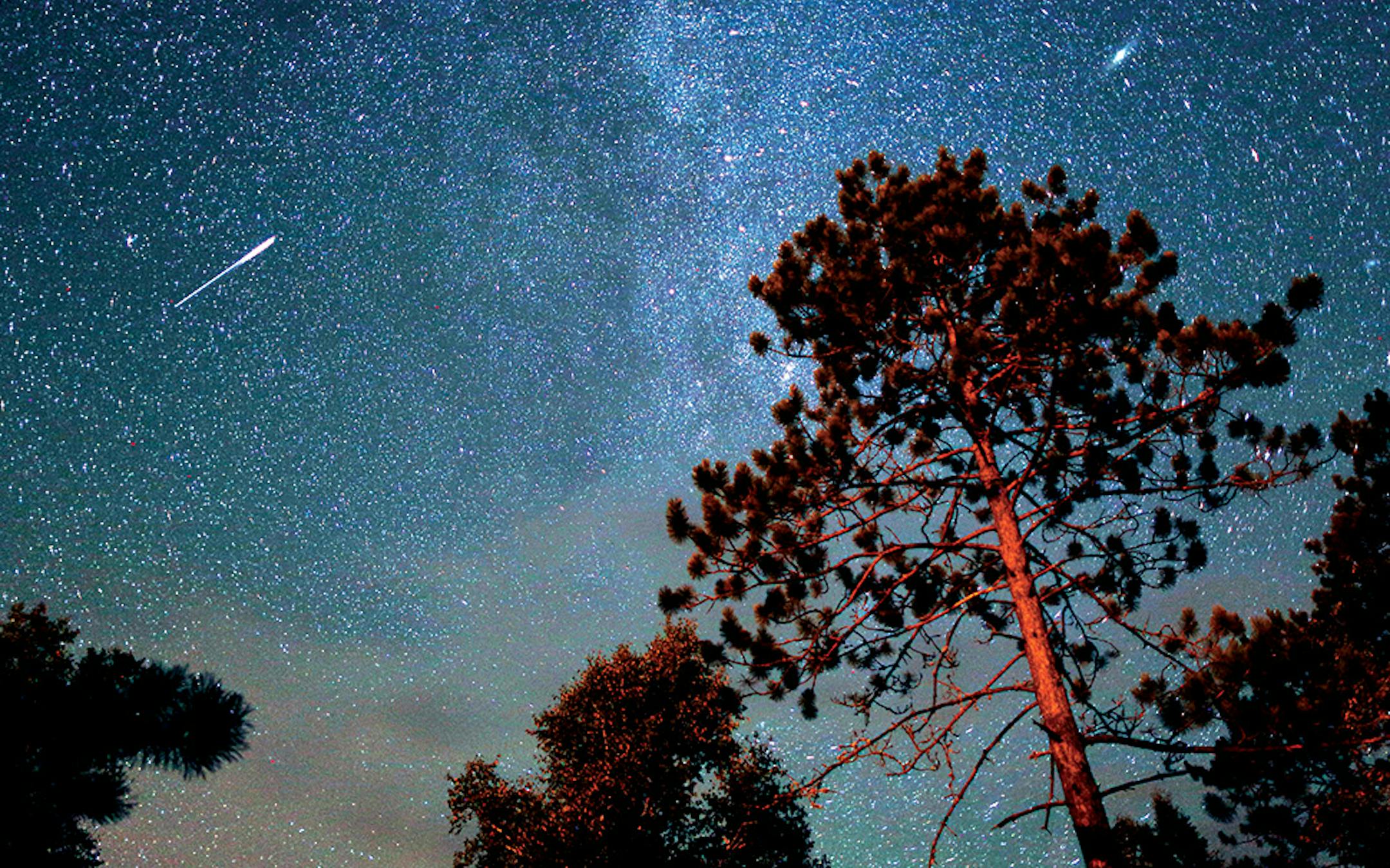 The Perseid meteor shower