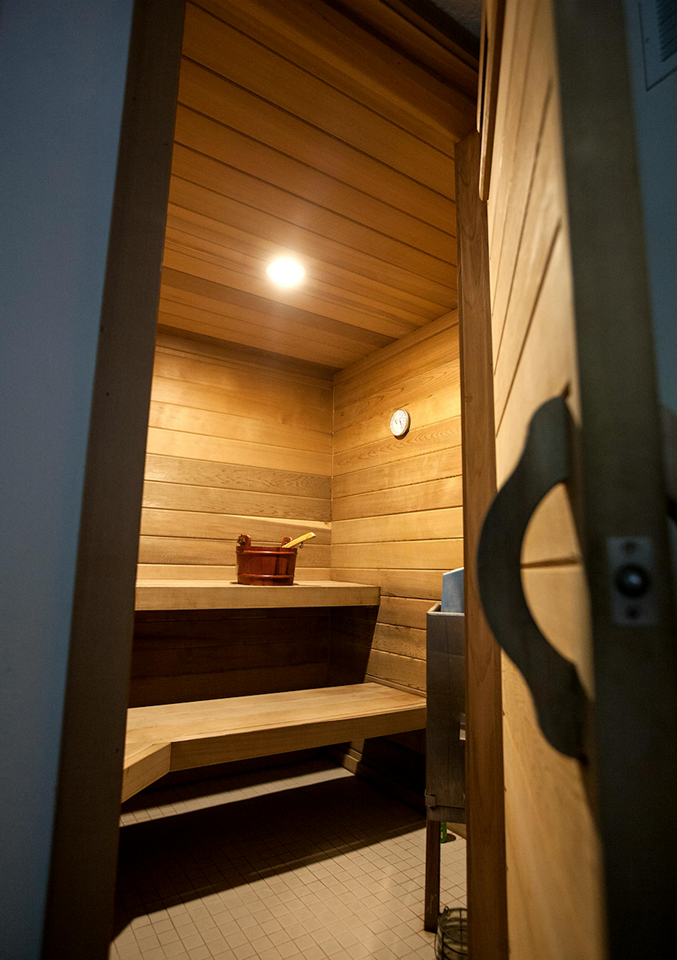 They added a sauna as part of the lower level remodeling project.