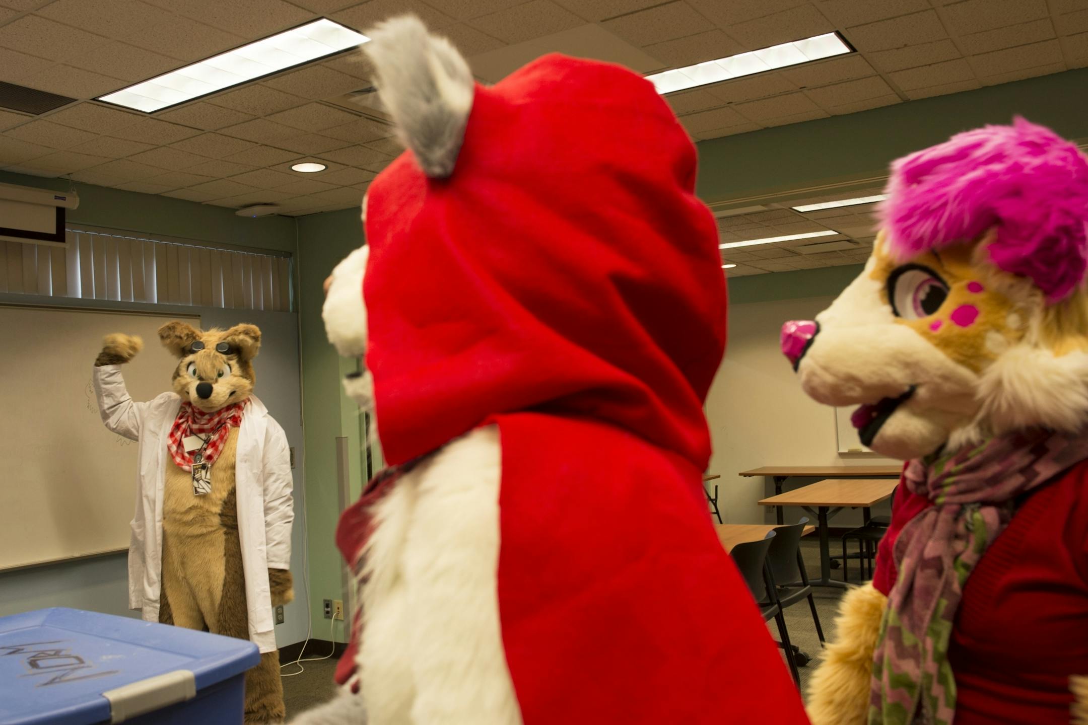Hyperyote, left, who said he's "technically a coyote," flexed his muscles for Lailadie, center, and Rebel before the start of the Winter Carnival Parade in late January.