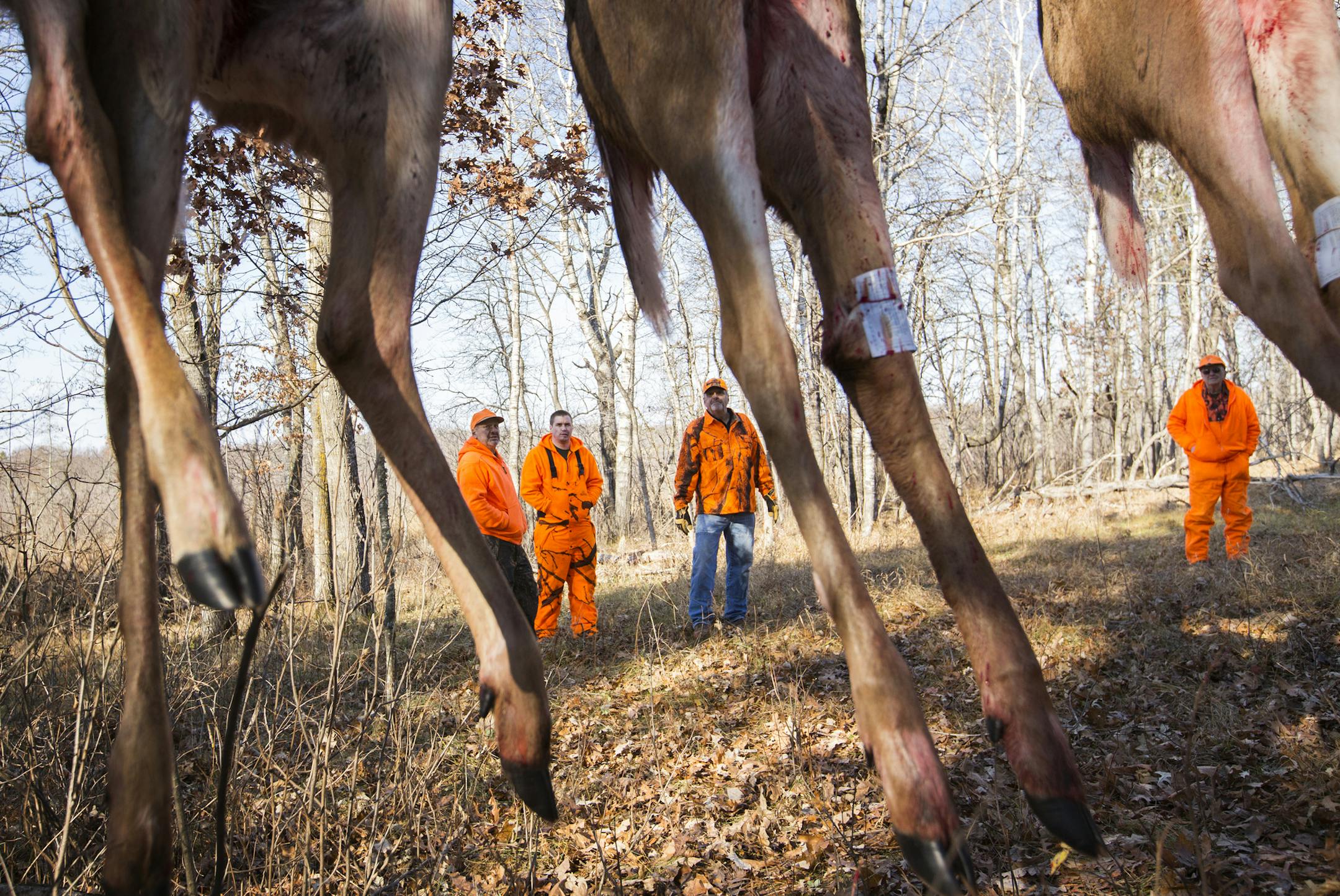 The Sloneker family admires the morning's hunting bounty of four deer during deer opener weekend at the Sloneker family hunting cabin in Jenkins on Saturday, November 7, 2015. From left is Lee Sloneker, his son Nathan, Lee's older brother Bill and their father Leon. ] (LEILA NAVIDI/STAR TRIBUNE) leila.navidi@startribune.com