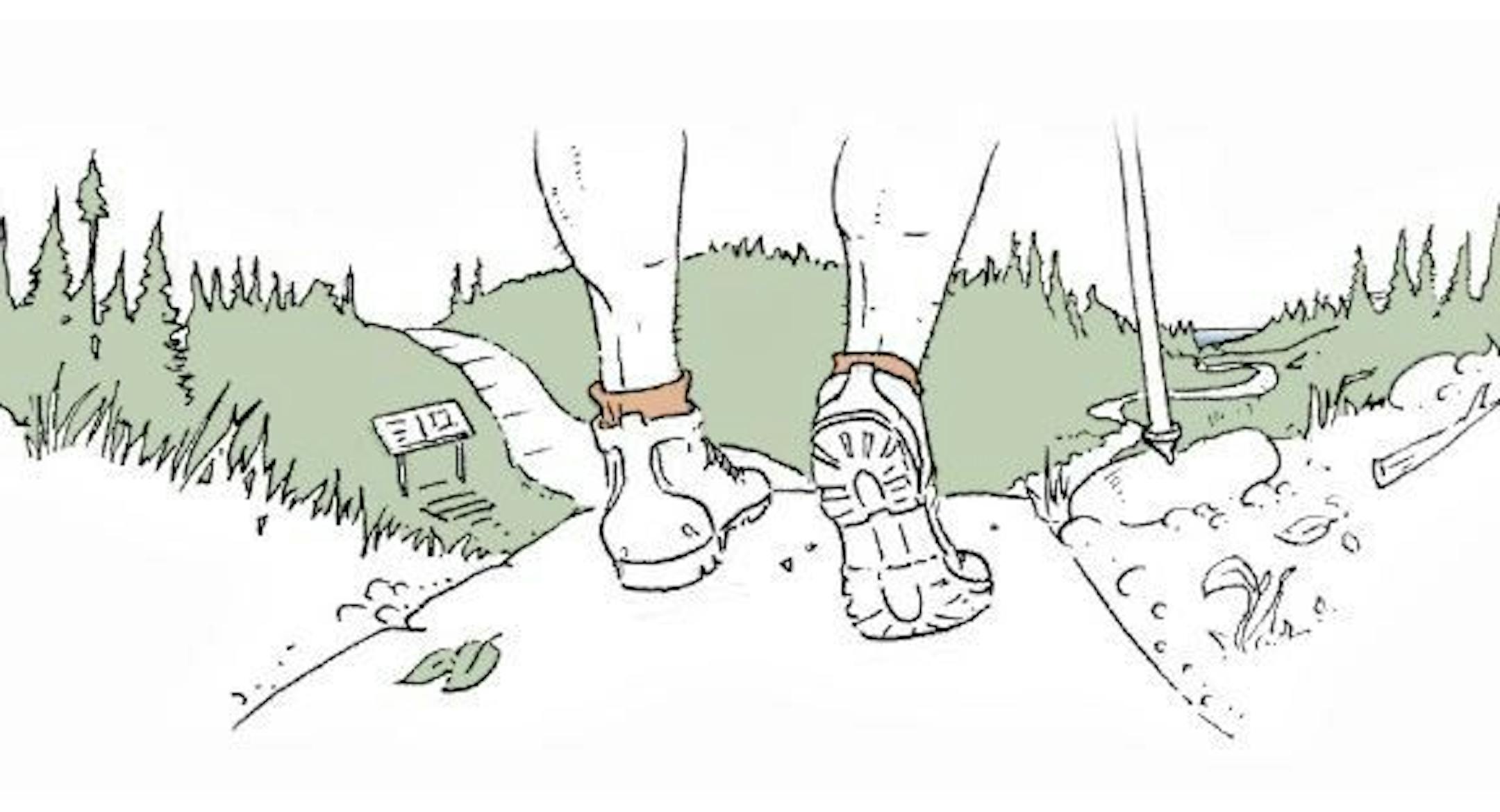 Head off on a different path.