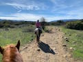 Ojai Valley Trail Riding Co. takes visitors through the Ventura River Valley Preserve on horseback.